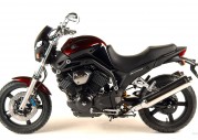 Yamaha BT1100 Bulldog Yamaha BT1100 Bulldog